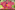好預兆.png