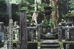 日本佛教允許僧侶吃肉婚娶，促使佛教走向世俗化-吞噬了佛教和基