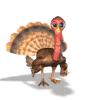 11.gif