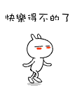 快樂得不的了.gif