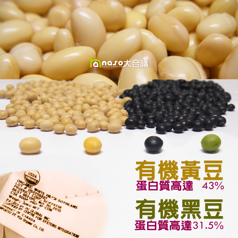 【naso開箱文】加拿大DG楓葉牌 有機黃豆，蛋白質高豆漿就好喝！