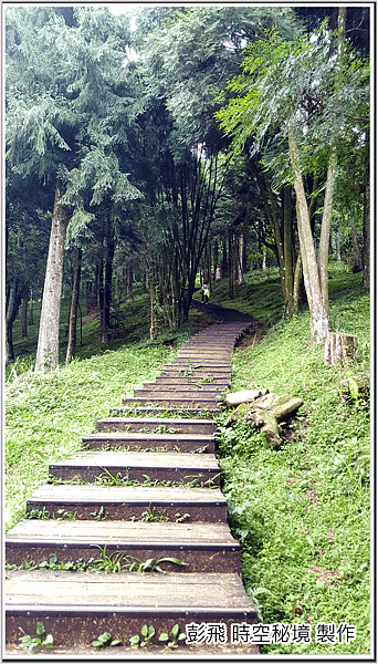 東眼山國家森林遊樂區