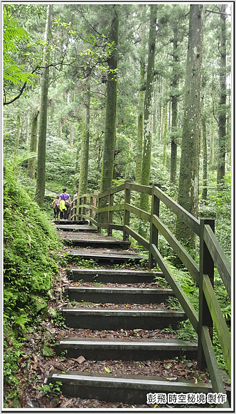 東眼山國家森林遊樂區