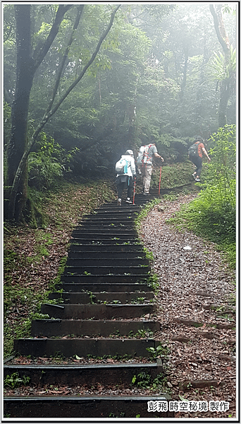 東眼山國家森林遊樂區