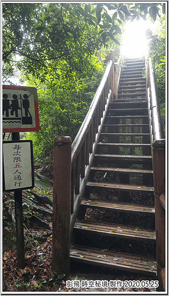 東眼山國家森林遊樂區