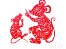 鼠008