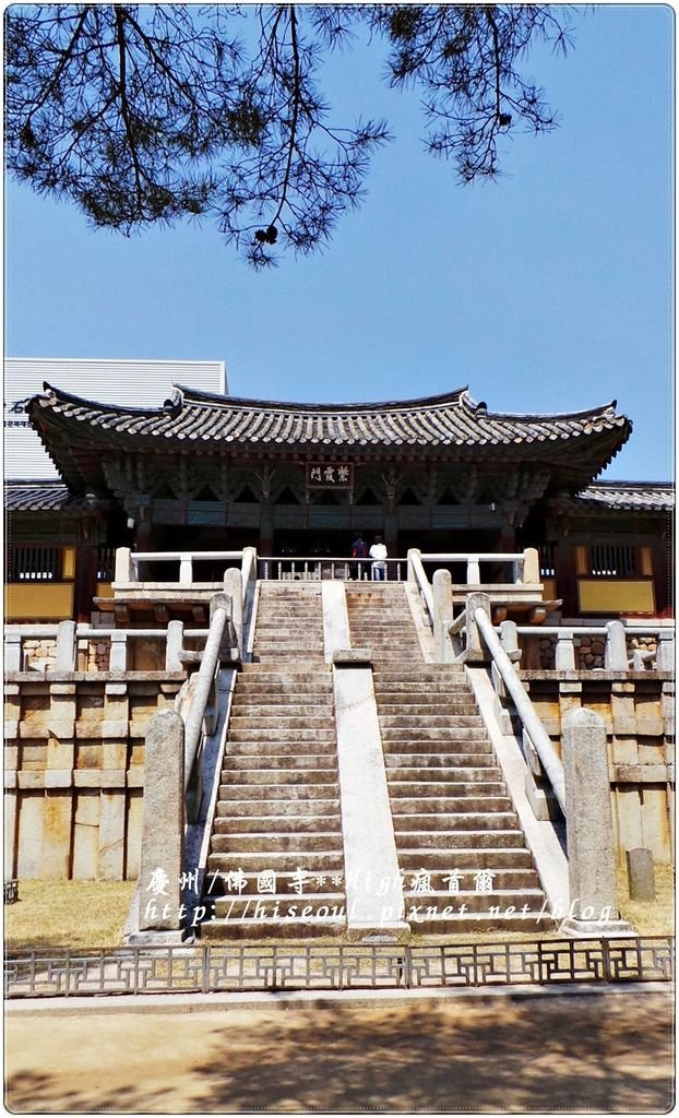 【韓國/慶州】我的重點是賞櫻之佛國寺불국사