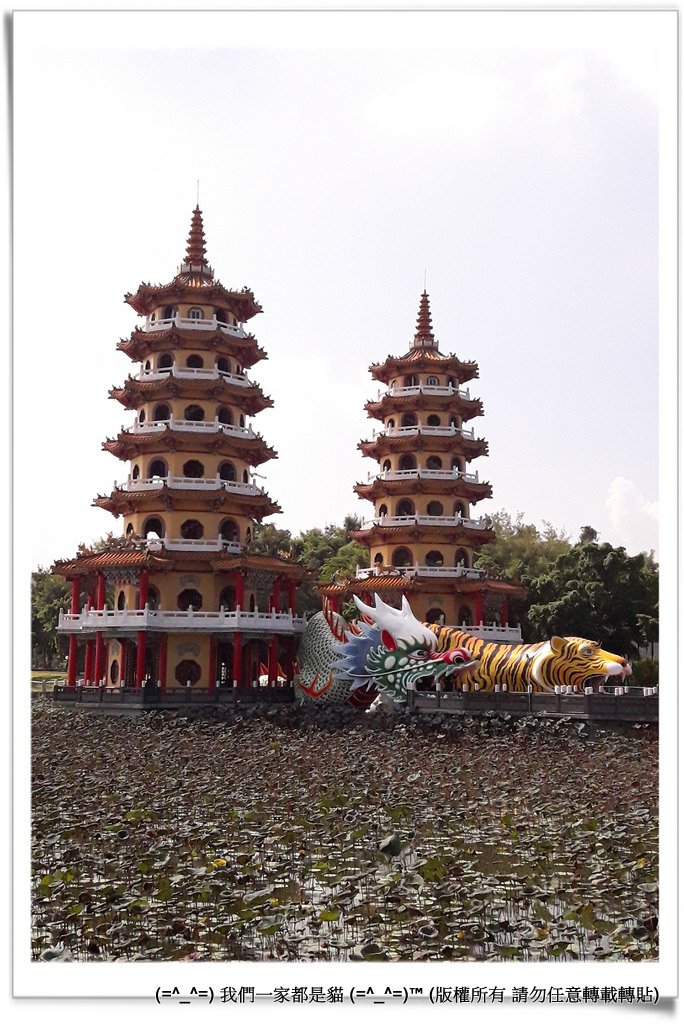 蓮池潭-015