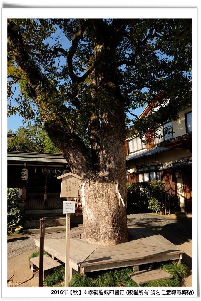 晴明神社-014