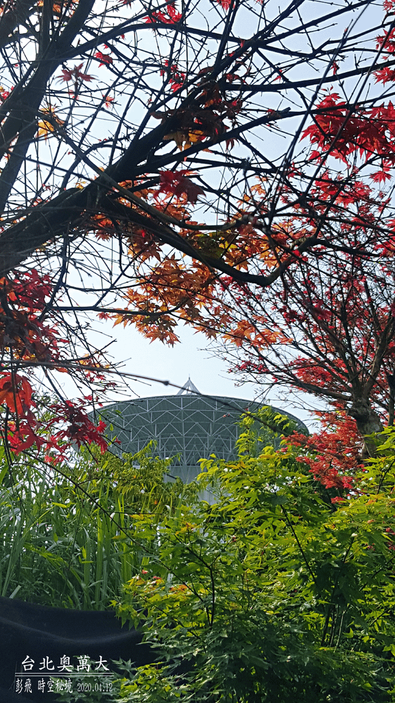 台北奧萬大