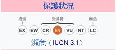 未命名.png