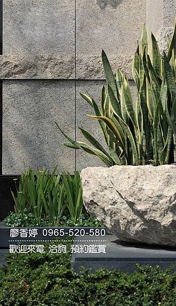 台中七期豪宅 沅林建設 名人硯 歡迎預約鑑賞 廖香婷0965520580(60).jpg