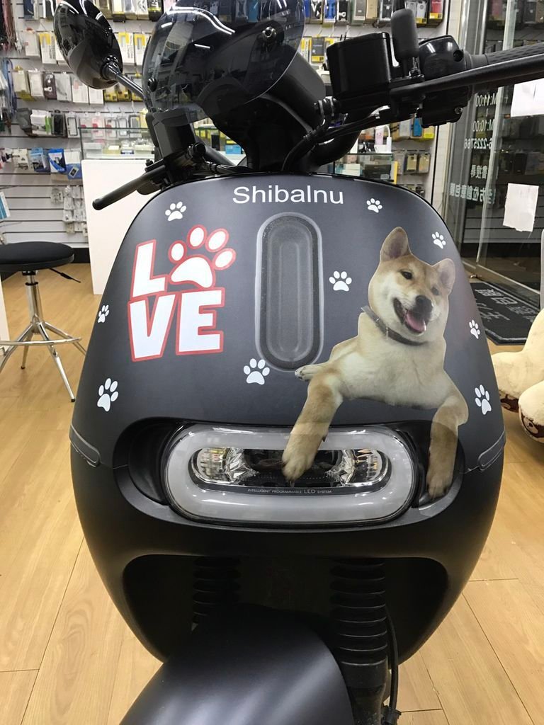 S__63775039.jpg