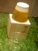 DSC03840.JPG
