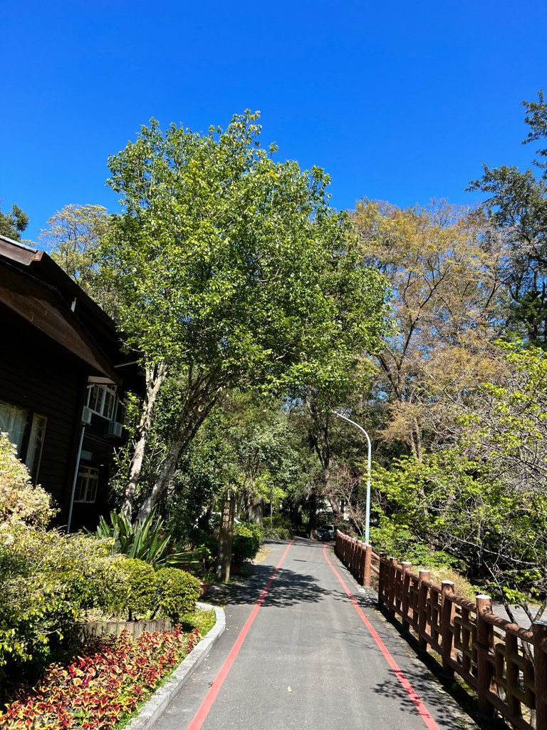 南投住宿,南投住宿推薦,南投住宿親子,東埔溫泉,蟬說和社山林,蟬說雅築