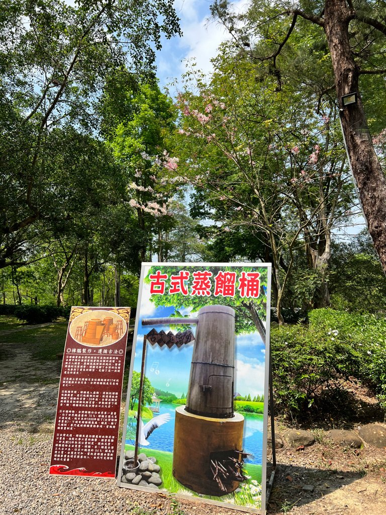 台南景點,台南景點親子,柳營景點,柳營景點推薦,尖山埤江南渡假村,獨木舟,水上腳踏車,小琉球,露水雞,柳營露水雞