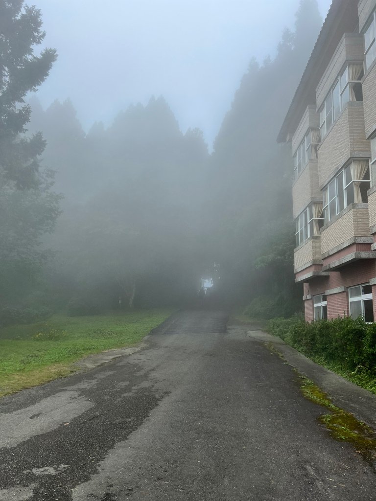 南投景點,南投景點親子,仁愛鄉景點,台大梅峰農場,採水蜜桃,採水蜜桃推薦,水蜜桃,高麗菜