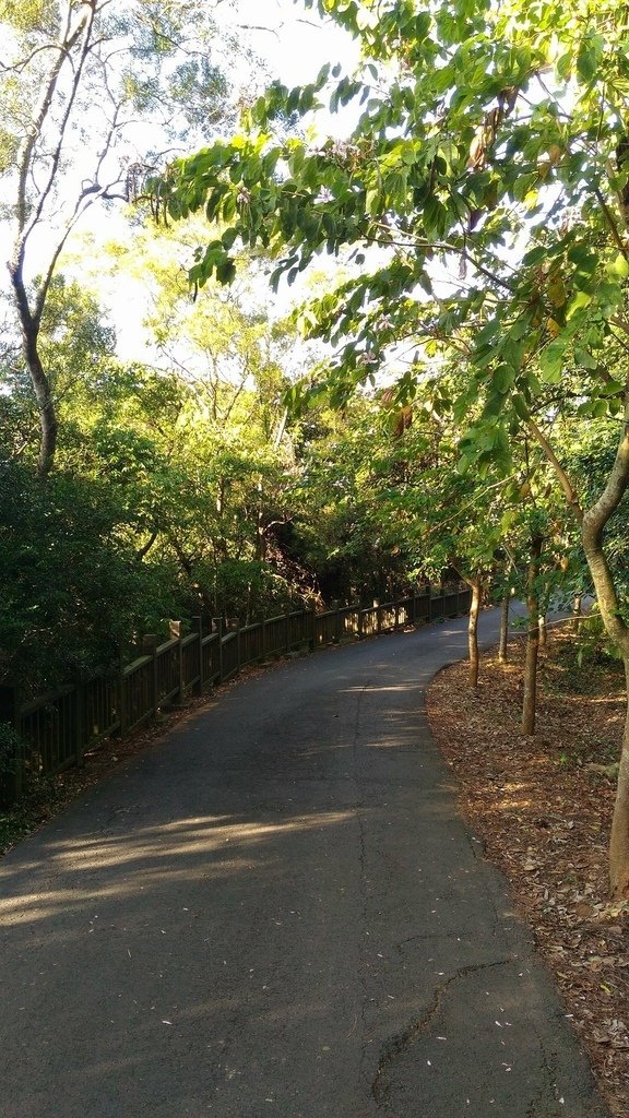 1051117-43.jpg