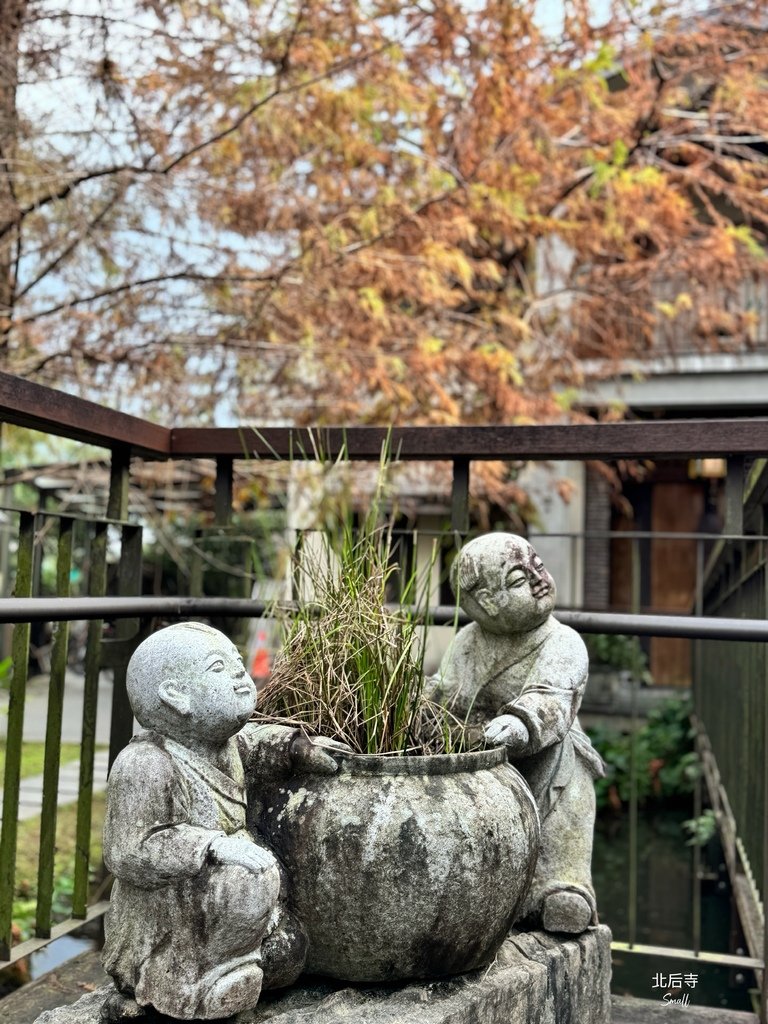 宜蘭落羽松秘境大集合，七個免門票景點通通告訴你，一起沉醉在橘