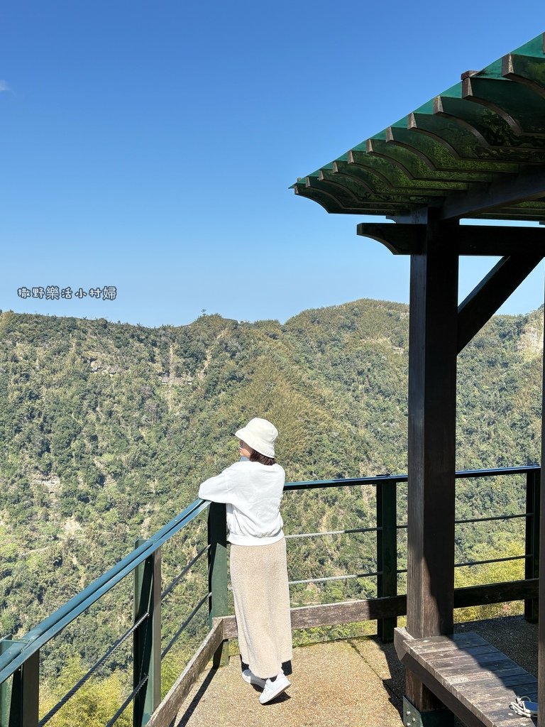 中部最美櫻花隧道【八卦茶園】青山藍天、茶園粉櫻一次盡收，迴音