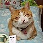 我很可愛吧