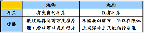 未命名.png