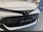 AURIS.jpg