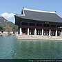 DSCF9181