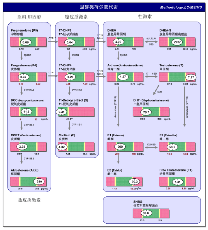 下丘腦 垂體 反饋機制圖