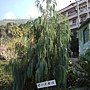 IMG_20170207_140120.jpg