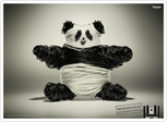 14.DVD Theatre Systems_Panda bear.png