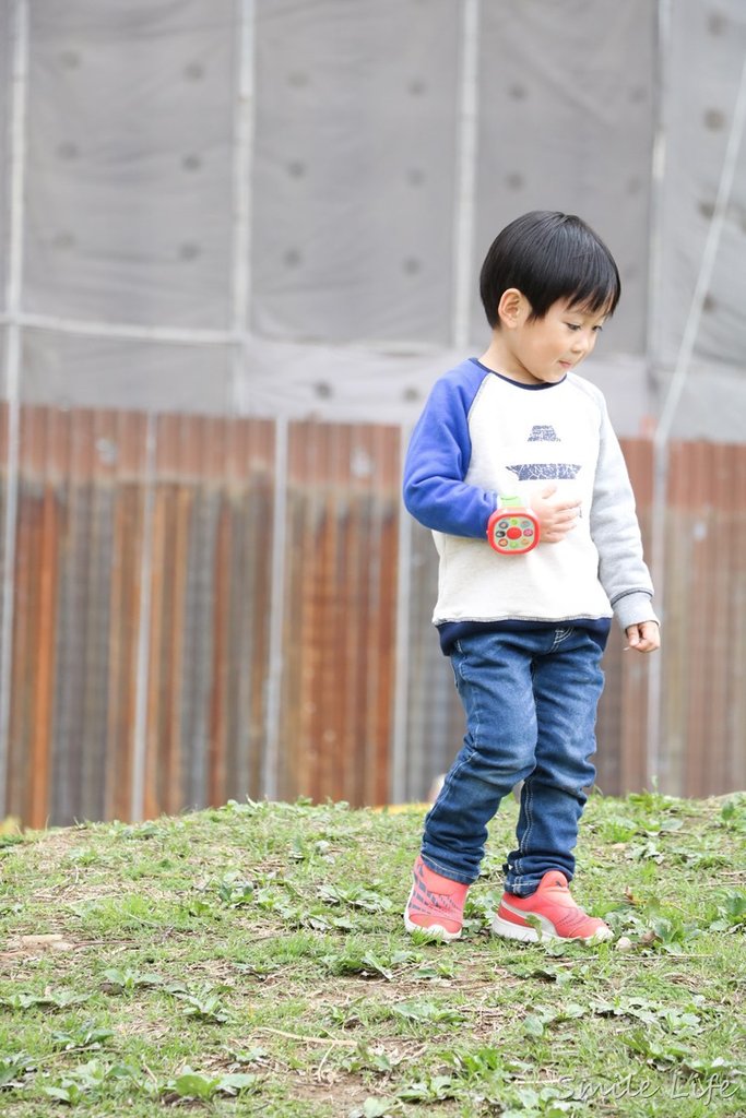 ▌童書分享▌拿起縮小燈跟著走進「立體繪本」每一頁都精彩。「幼兒有聲書／遊戲書」快樂輕鬆學