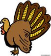 TURKEY.jpeg