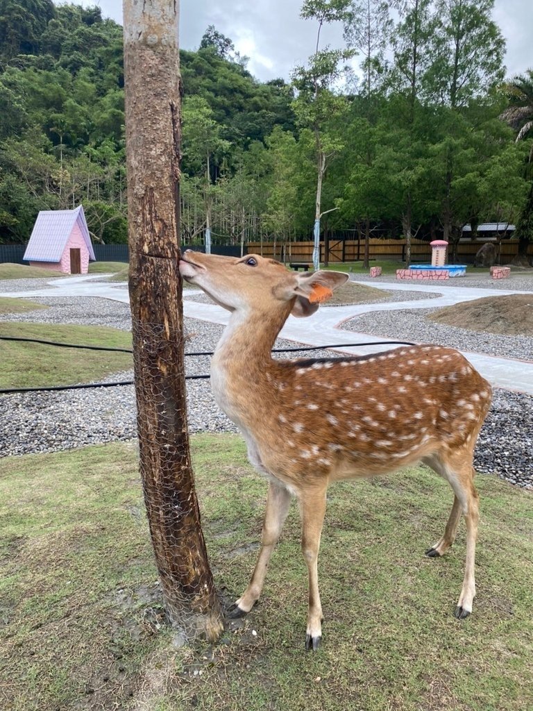 S__28975150.jpg