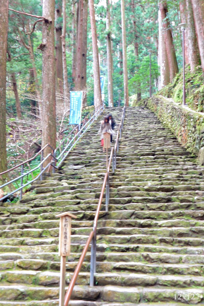 | 和歌山・紀伊勝浦 | 靈氣滿滿的熊野那智大社～有狗