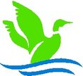 bird15.jpg