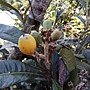 IMG_20170207_135517.jpg