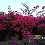 IMG_20170207_165648.jpg