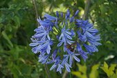 DSC04553.JPG