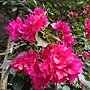 IMG_20170207_155307.jpg