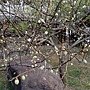 IMG_20170207_165231.jpg