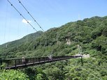 栃木 日光 鬼怒楯岩大吊橋 (2).JPG