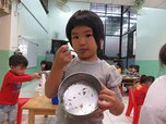 IMG_0825.JPG