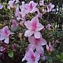 IMG_20170207_135306.jpg