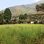IMG_20170207_151637_mh1486476052144.jpg