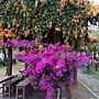 IMG_20170207_165837.jpg