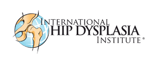 Logo-IHDI.png