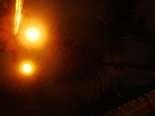 DSC04919.JPG