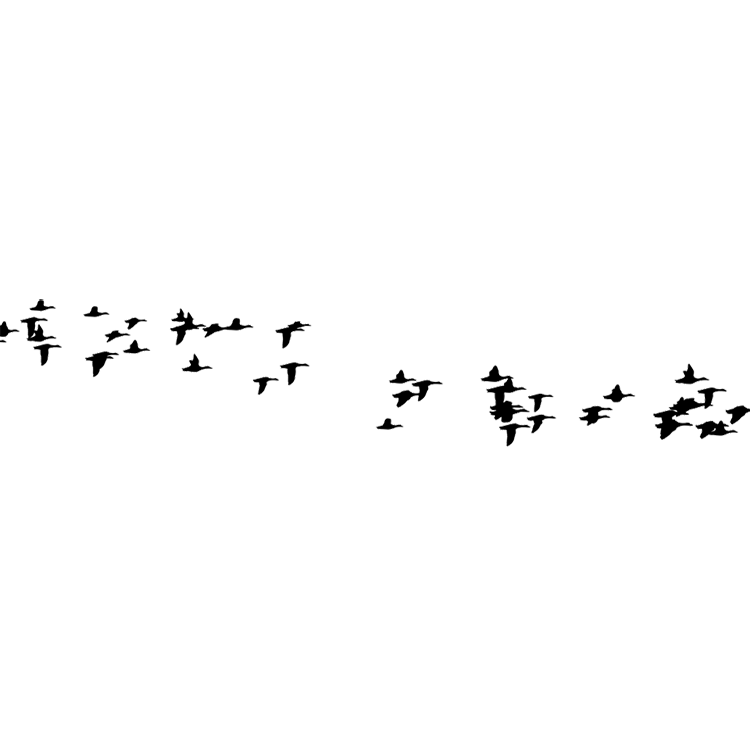 沉默