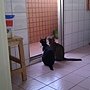 IMAG0951.jpg